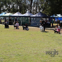  20120826 Ali Campbelltown Dog Show (10 of 10)