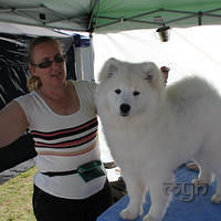 20120902 Purina Spring Fair (3 of 9)