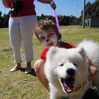  20120916 Samoyed Fun Day (62 of 64)