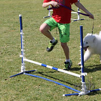 20120916 Samoyed Fun Day (1 of 53)