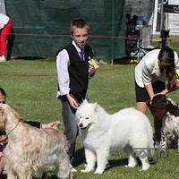 20121021 DogShow-SouthernHighlands (11 of 15)