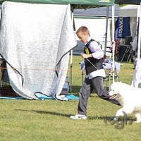 20121021 DogShow-SouthernHighlands (12 of 15)