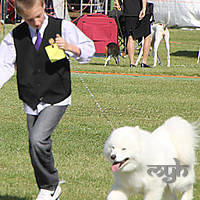 20121021 DogShow-SouthernHighlands (13 of 15)-Edit
