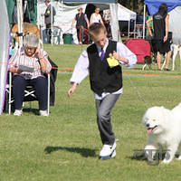 20121021 DogShow-SouthernHighlands (13 of 15)