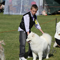 20121021 DogShow-SouthernHighlands (14 of 15)