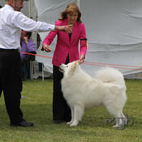 20121021 DogShow-SouthernHighlands (19 of 15)