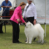 20121021 DogShow-SouthernHighlands (20 of 15)