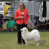 20121021 DogShow-SouthernHighlands (22 of 15)