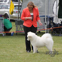 20121021 DogShow-SouthernHighlands (23 of 15)