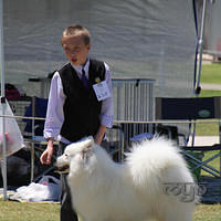 20121027 Dog Show BlaxlandGlenbrook (28 of 28)