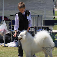 20121027 Dog Show BlaxlandGlenbrook (29 of 28)