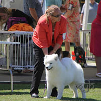 20121027 Dog Show BlaxlandGlenbrook (34 of 28)