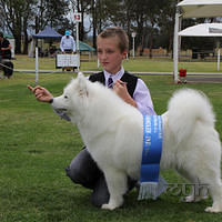 20121103 Dog Show Liverpool (31 of 57)