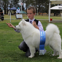 20121103 Dog Show Liverpool (32 of 57)