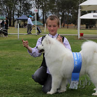 20121103 Dog Show Liverpool (33 of 57)