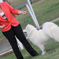 20121118 Dog Show Campbelltown [DoubleShow] (55 of 34)-2
