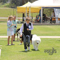 20121118 Dog Show Campbelltown [DoubleShow] (63 of 34)