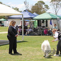 20121118 Dog Show Campbelltown [DoubleShow] (81 of 34)