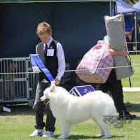20121118 Dog Show Campbelltown [DoubleShow] (85 of 34)