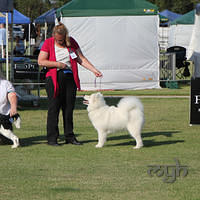 20121124 Dog Show Dalwood Childrens Charity (6 of 22)