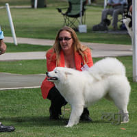 20121202 Dog Show-Fairfield (7 of 10)