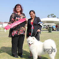  20121208 Dog Show-St George (16 of 26)