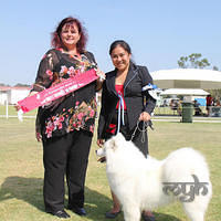  20121208 Dog Show-St George (17 of 26)