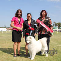  20121208 Dog Show-St George (19 of 26)-Edit