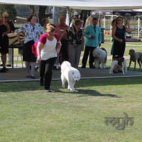  20121208 Dog Show-St George (23 of 26)