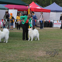  20130222 Dog Show-Canberra Royal (24 of 40)