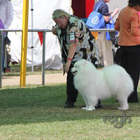  20130222 Dog Show-Canberra Royal (28 of 40)