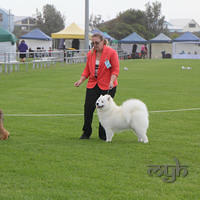 20130302 Dog Show - Wollongong (1 of 29)