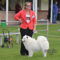 20130302 Dog Show - Wollongong (5 of 29)
