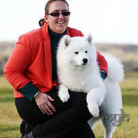  20130630 National Samoyed Show - Bulla-Vic [ffire] (4 of 04)