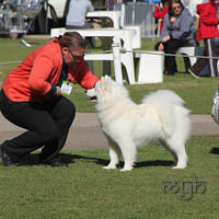 20130727 Dog Show TnG (13 of 14)