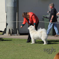 20130727 Dog Show TnG (9 of 14)