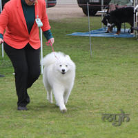  20130804 Dog Show - Wagga (1 of 10)