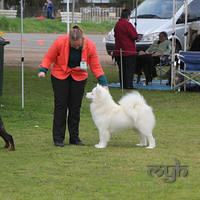  20130804 Dog Show - Wagga (5 of 10)