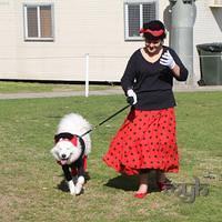 Samoyed Fun day (3 of 68)