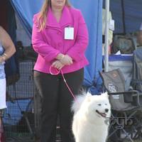 Dog Show-Spring Fair (8 of 10)