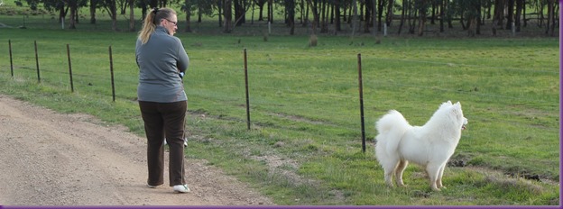 20130704_National Samoyed Show Weekend - Whispering Hills Barn (42 of 55)