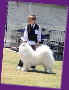 20121027_Dog Show_BlaxlandGlenbrook (27 of 28)