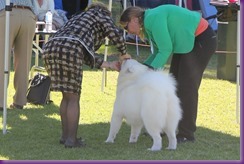 20130428_Dog Show - Bulli (2 of 4)