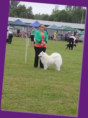  20130316_Dog Show - Camden (5 of 11)