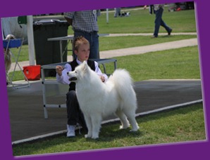 20121118_Dog Show_Campbelltown [DoubleShow] (73 of 34)