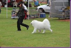  20130216_Dog Show-Kangaroo Valley (2 of 04)