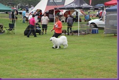  20130216_Dog Show-Kangaroo Valley (3 of 04)