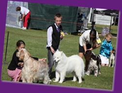 20121021_DogShow-SouthernHighlands (11 of 15)