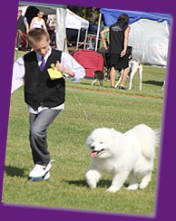 20121021_DogShow-SouthernHighlands (13 of 15)-Edit
