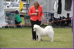 20121021_DogShow-SouthernHighlands (23 of 15)